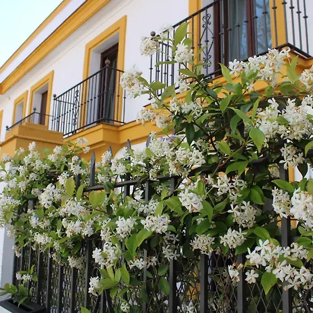 Apartment Marcel